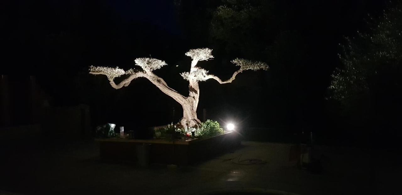 Les Gites De L'Arbousier Quissac  Dış mekan fotoğraf