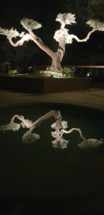 Les Gites De L'Arbousier Quissac  Dış mekan fotoğraf